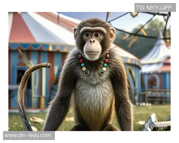 踢足球的猴子展现灵活身姿与顽皮魅力的趣味瞬间